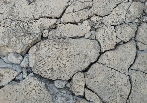 Geotechnical Causation Report