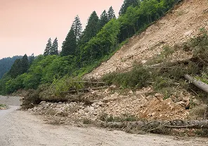 Landslide Investigations